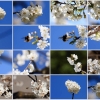 Garten 23.04.2015