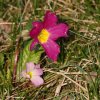 gaten252032012_09