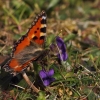 gaten252032012_00