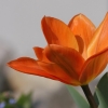 gaten252032012_02