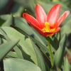 gaten252032012_03