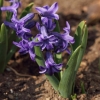 gaten252032012_04