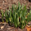 gaten252032012_06
