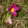 gaten252032012_09