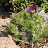 gaten252032012_19
