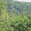 Garten 26.06.2014