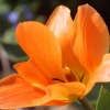 Garten;