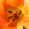 Garten;