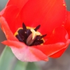 Garten;
