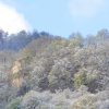 Garten 27.04.2016