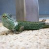 img_2022-1dfh-garten