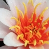 Garten 29.07.2014
