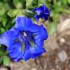 Garten 30.04.2015