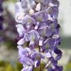 Garten 30.04.2015