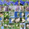 garten21