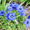Garten 30.04.2015