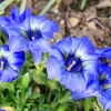 Garten 30.04.2015