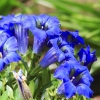 Garten 30.04.2015