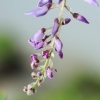 Garten 30.04.2015