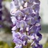 Garten 30.04.2015