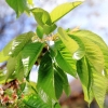 Garten 30.04.2015