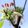 Garten 30.04.2015