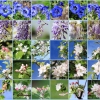 garten21