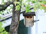Garten 30.04.2016