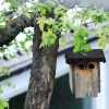 Garten 30.04.2016
