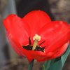 Garten 31.03.2014