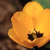 Garten 31.03.2014