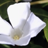 Garten 31.03.2014