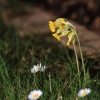 Garten 31.03.2014