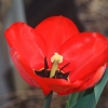 Garten 31.03.2014