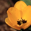 Garten 31.03.2014
