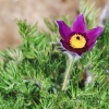 Garten 31.03.2014