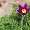 Garten 31.03.2014