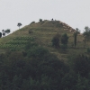Georgenberg Schafe