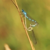 Gönninger Seen 19.07.2017