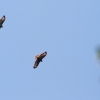 Gönninger Seen 19.07.2017