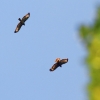 Gönninger Seen 19.07.2017
