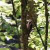 Gönninger Seen 19.07.2017