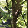 Gönninger Seen 19.07.2017