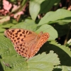 Gönninger Seen 19.07.2017