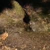 Gönninger Seen 19.07.2017