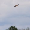GPS-Triangle Flugplatz Gruibingen-Nortel 15.05.2016