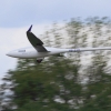 GPS-Triangle Flugplatz Gruibingen-Nortel 15.05.2016