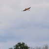 GPS-Triangle Flugplatz Gruibingen-Nortel 15.05.2016