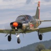1dfh-grabenst-2009-1707-036