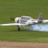 1dfh-grabenst-2009-1707-064